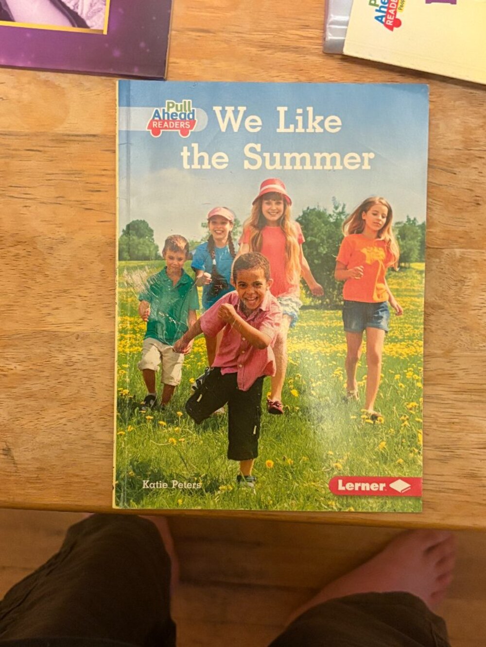 We Like the Summer Children's Book by Katie Peters